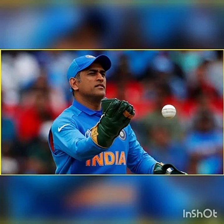 MS DHONI - BEST MOMENTS ON FIELD // A TRIBUTE TO DHONI 