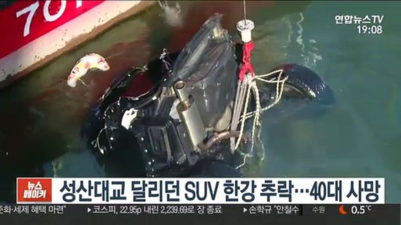 성산대교 달리던 SUV 한강 추락…40대 사망