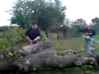 sthil 056 vs ms 460 et ms 660