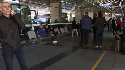 - Otobüslerde yeni dönem en çok hayvan severleri mutlu etti