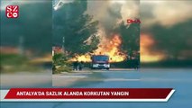 Antalya'da korkutan sazlık yangını