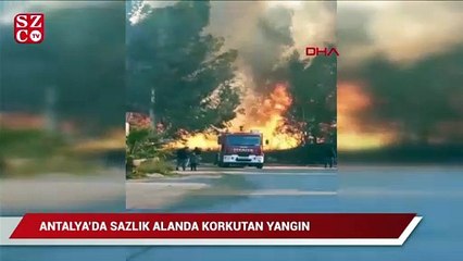 Antalya'da korkutan sazlık yangını
