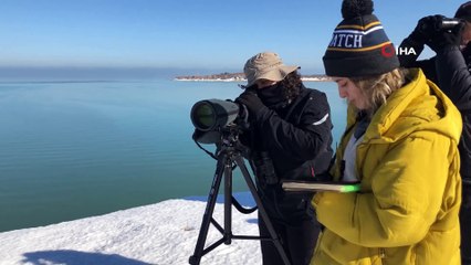 Burdur, Antalya ve Isparta'da 2020 su kuşu sayımı gerçekleşti