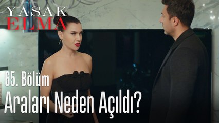 Ender ve Kaya'nın arası neden açıldı - Yasak Elma 65. Bölüm