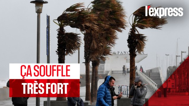Tempête Gloria : trois morts en Espagne