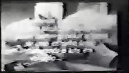 Mestre Bimba, l'homme qui a inventé la capoeira