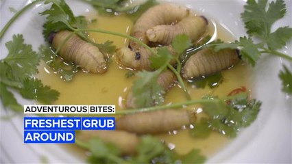Adventurous Bites: Ready for a big bowl of worms?