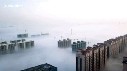 Aerial footage showcases high-rise buildings poking out from blanket of thick fog in China