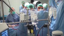Hospital Virgen del Rocío lidera actividad de trasplantes en Andalucía