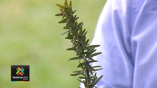 bd-tratamientos-naturales-para-menopausia-210120