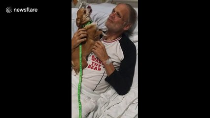 Dogs visits owner in hospital after four-weeks apart