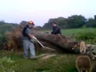 sthil ms 460 ms 660 et 056