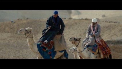 احتفالية مجلس القبائل والعائلات المصرية الجمعة المقبل باستاد القاهرة