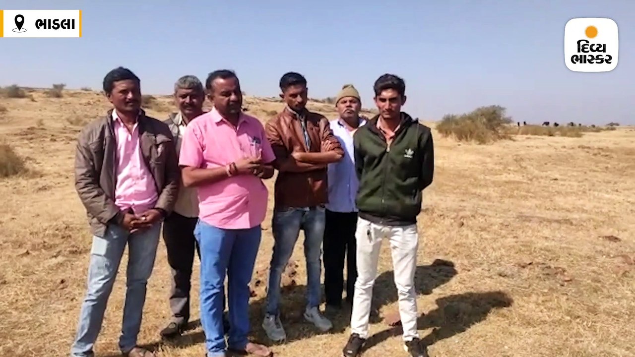 રાજકોટના પાદરમાં જોવા મળેલા સિંહ જસદણ પંથકના ભાડલા પહોંચ્યા, ખેડૂતોને ખેતરે ન જવા સૂચના, વન વિભાગ ખડેપગે