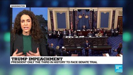 What will be the strategy used by Trump's defence team?