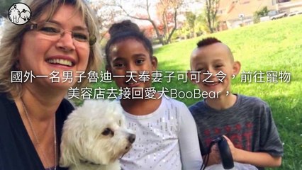 CollectionVideo-petmao_curation-copy2-PetsMaoParser-2020/01/21-09:30