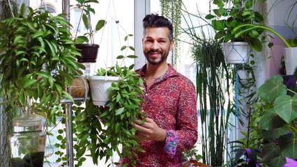 "Urban Jungle": Zu Besuch bei einem Pflanzenverrückten
