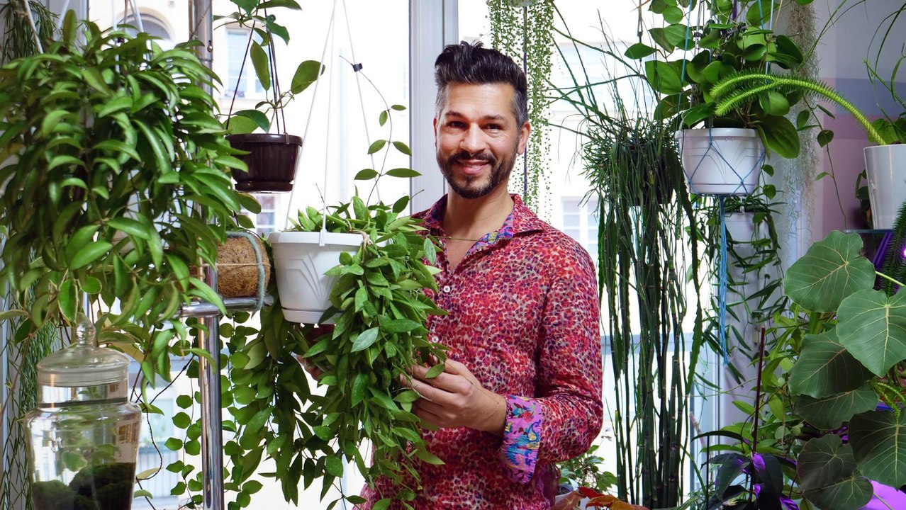 'Urban Jungle': Zu Besuch bei einem Pflanzenverrückten