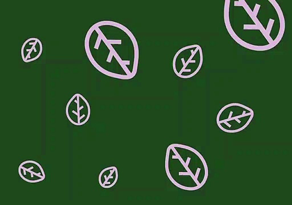 Sample animation
