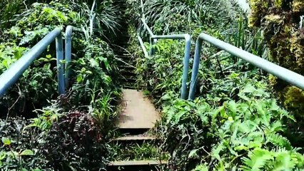 Stairway to Heaven, Oahu, Hawaii