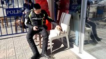 Bodrum'da polis ekibi, yaralı kediyi veterinere götürüp tedavi ettirdi