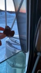 Feeding a Hungry Raven