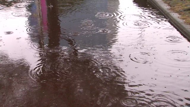 [날씨] 충청 이남 겨울비...큰 추위 없어 / YTN