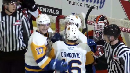 Highlights: Tigers (5) at Blades (6)