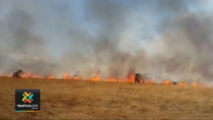 n7-Incendios en charrales y vegetación aumentan durante febrero y marzo-210120