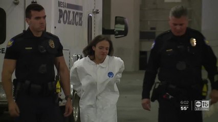 Family history of Phoenix mom who killed her kids