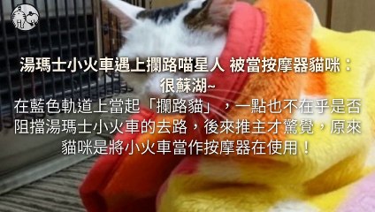 CollectionVideo-petmao_curation-copy1-PetsMaoParser-2020/01/22-09:30