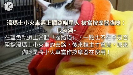 CollectionVideo-petmao_curation-copy2-PetsMaoParser-2020/01/22-09:30