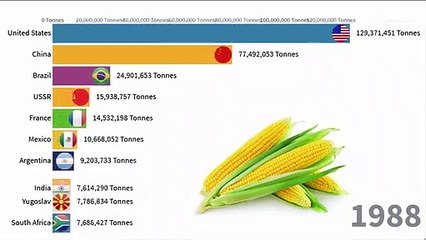 Top Largest Maize Producer countries