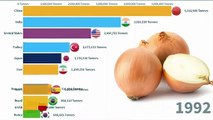 Top Largest Onions Producer countries
