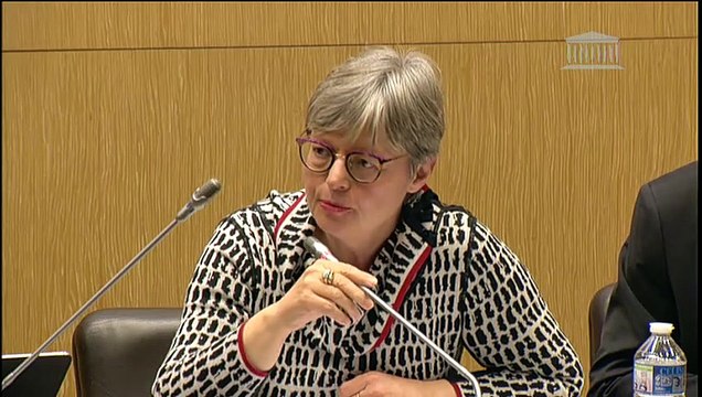 Mission d'information sur l'identité numérique : Table ronde réunissant des chercheurs - Mardi 21 janvier 2020