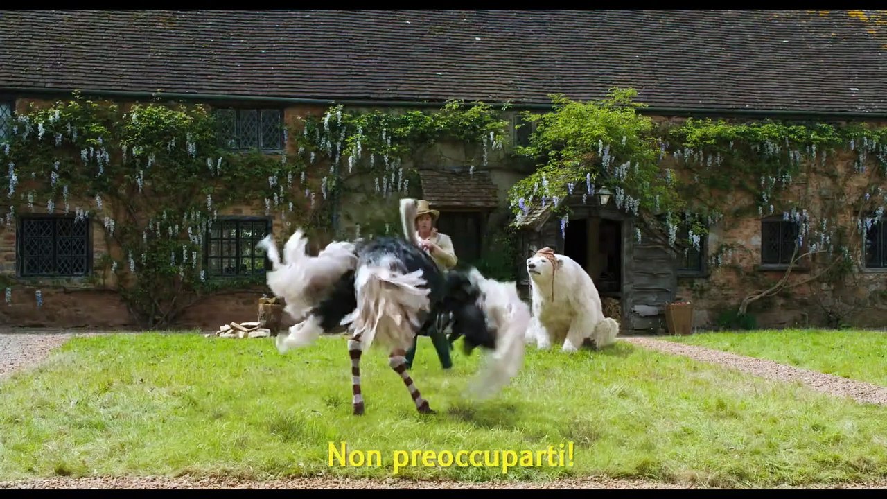 DOLITTLE Film con Robert Downey Jr - Cosa pensano gli animali?