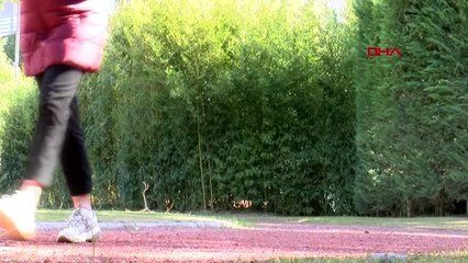 Spor ramil guliyev ve eşi ekaterina dha'ya konuştu!