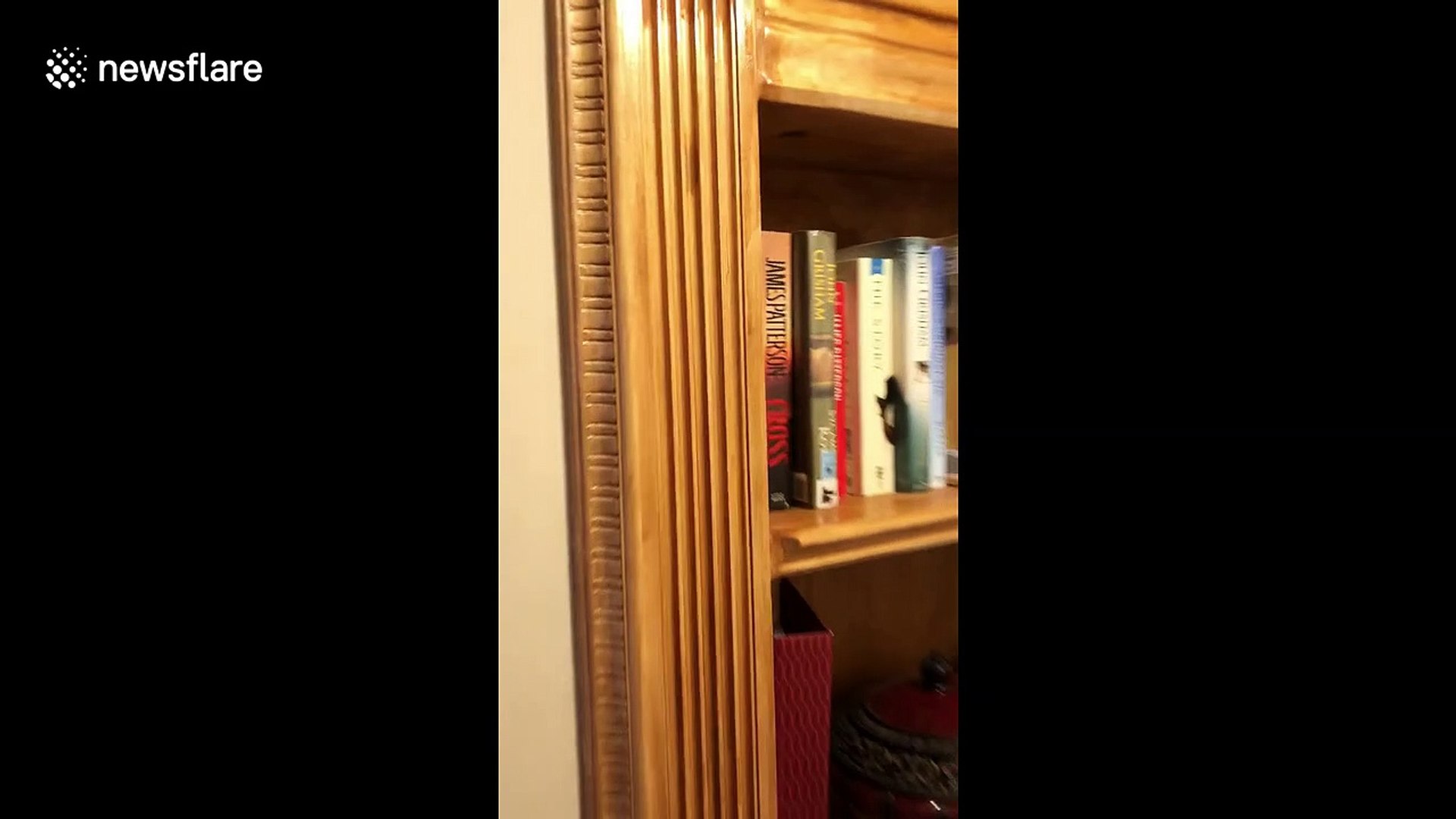Us Man Creates Secret Man Cave Behind Fake Bookshelf Video