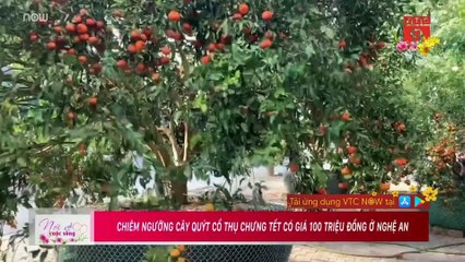 Nói về cuộc sống – 22/01/2020