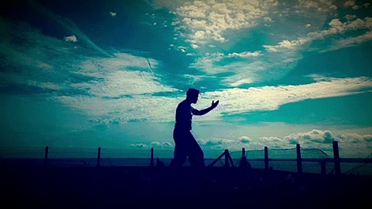 24 step Tai Chi Form