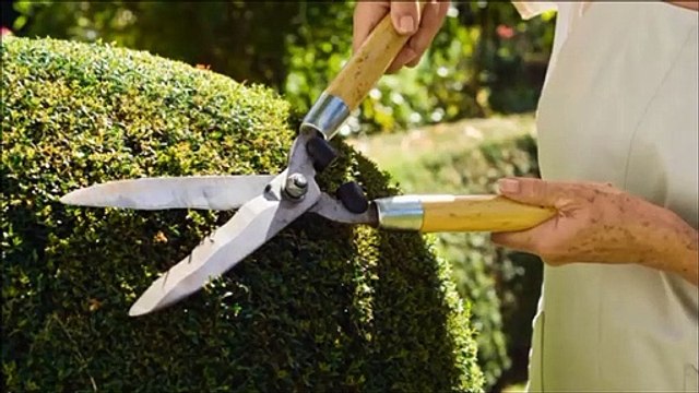 Stephens Enterprise Lawn & Landscaping Service LLC - (704) 352-2582