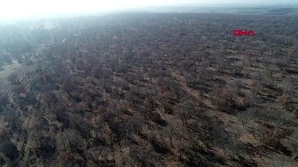 Kırklareli'de ağaçlık alanda 6 çanta uyuşturucu bulundu