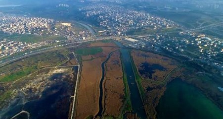 Kruvaziyer gemileri Kanal İstanbul için şimdiden sıraya girdi