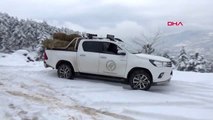 Tokat'ta yaban hayvanları için doğaya 5 ton yem bırakıldı