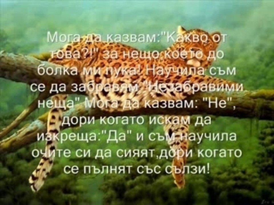 Ima Li Smisal Da Pisha Za Kogo E.