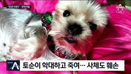 반려견 ‘토순이’ 살해범 실형…“수법 잔혹하고 생명 경시”