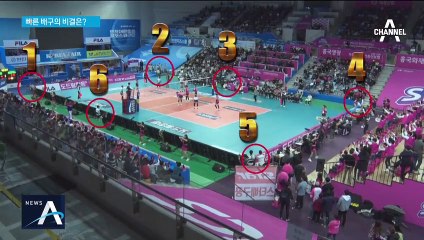 줍고, 닦고, 굴리고…배구 코트 숨은 일꾼 ‘볼 리트리버’