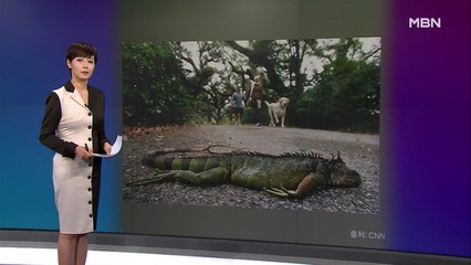 김주하의 1월 22일 '이 한 장의 사진'