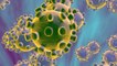 Everything you need to know about corona virus | Oneindia Malayalam