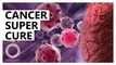 Scientists found clues for making universal cancer cure